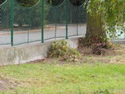 Práce na školní zahradě